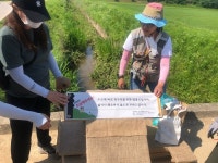 한국농어촌공사 파주지사,「농수로 개구리탈출로」30개 설치 지원