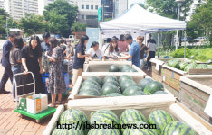고창수박 직거래 판매 행사 성황