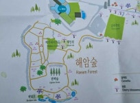 [현지르포 2탄] 제주도 서귀포시 THE WE호텔 제주의 해암숲