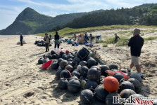 신안군, 도초면 우이도 성촌 해변 연안 정화 활동 실시