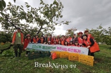 창원특례시 성산구 상남동 통장협의회, ‘일손부족 단감 농장 찾아 구슬땀’