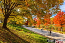 담양군, 민선 8기 내륙 관광 일번지 도약 ‘박차’