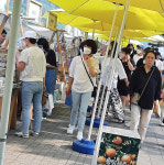 단양10경사회적협동조합, 골목 활성화 프로젝트 이벤트 진행