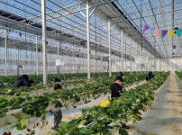 진천군, 드림스타트 아동들 봄나들이 체험행사 진행