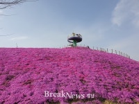 경남 제1호 지방정원 거창창포원 봄맞이 정원봄꽃 단장