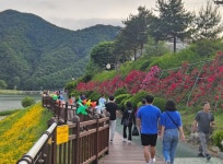 단양읍, 2024. 장미길의 향연 행사 마무리