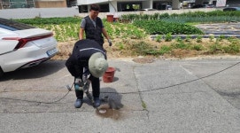 진천군, 광혜원면 화랑4안길 여성 안심 시설물 설치