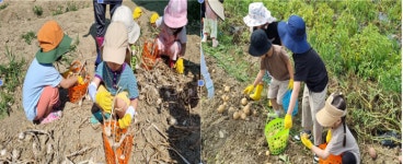 세종교육원, 유아들의 손으로 이뤄낸 풍성한 수확