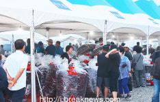 진안고원 마이산 고추시장 개장