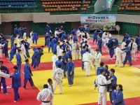 영천의 우수한 체육시설 인프라... 전지훈련 요람으로 발돋움