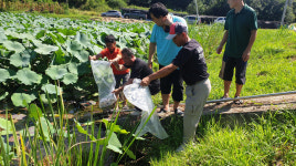 충주시, 생태 복원 버들붕어 2천 마리 방류