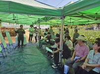단양군농업기술센터, 옥수수 신품종 현장 연시회 진행