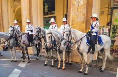 [현지 보고]폼생폼사 말 탄 경찰