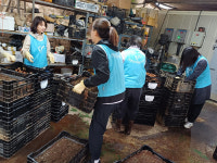 진천군 공직자, 휴일반납 농가 일손이음 참여