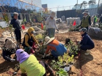 천안시 미니정원 가꾸기...시민의 손으로!