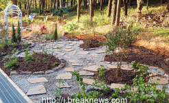 도심 속 버려진 공간… 식물과 꽃으로