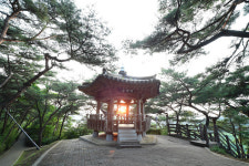 충주 탄금대,  문화원 리모델링 등 경관·시설물 정비 추진
