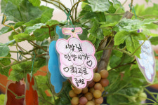 안양1동 2025년 신년인사회 열려…안일초 어린이들, 최대호 시장에게 ‘희망트리’ 전달