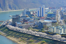 단양군, 강변길 따라 걷는 특별한 봄 여행 추천