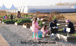 전주시 텃밭, 체험농장 회원 모집