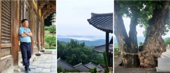 [현지 르포]영주, 선비의 숨결을 따라
