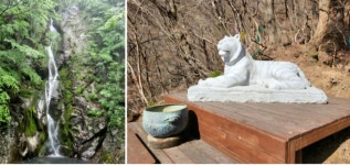 [현지 르포]영주, 선비의 숨결을 따라