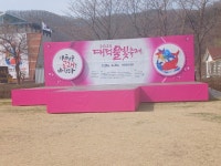 대덕구 축제 강행에 재난은 남의 일? 무감각한 처사 지적