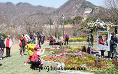 2025 옥정호 벚꽃축제 성료