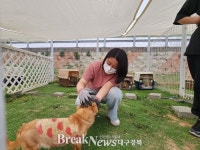 교육협동조합 세움·대구한의대, 의성 산불 피해 반려동물 위한 보호활동 펼쳐