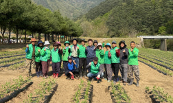 단양군 가곡면 새마을협의회, 고운골 아평쉼뜰 인근 버베나 꽃밭 조성