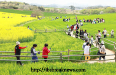 제22회 고창 청보리밭 축제 폐막