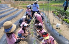 증평 정안농촌체험휴양마을, 충북도 25년 백미(白眉) 명품마을 선정