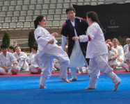 충주 택견, 제2회 유럽택견대회 포르투갈 개최