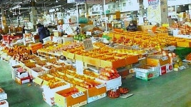 부산보건환경연구원 상반기 농산물 잔류농약 검사 결과...98.6% 적합