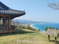 경북문화관광공사, ‘고래. 그래’ MVTI로 여는 특별한 경북여행