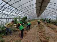 부여군, 집중호우 피해 복구 마무리…“연대와 헌신의 성과”