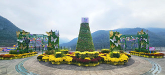 단양군, 도심 ‘가을국화거리’ 조성...6만 본 국화와 경관조형물 설치