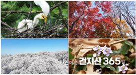JTV 창사특집 '왕의 숲, 건지산' 방송