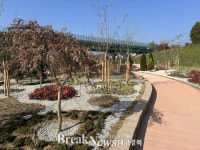 대구 동구, 불로천 둔치에 생활밀착형 숲 조성 완료