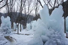대전 동구, 상소동 산림욕장 방문자센터 개관