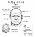 거북·귀상(龜相)은 장기 인내하며 크게 이뤄내는 축적형 운명의 관상