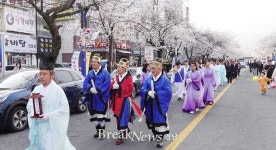 벚꽃 절정 속 부곡온천, 봄 관광 매력 만끽