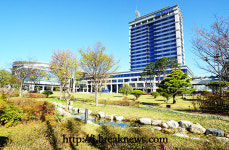 전북도 식품 포장재 유통 질서 점검