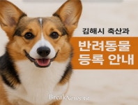 김해시, 반려동물 등록률 제고 총력