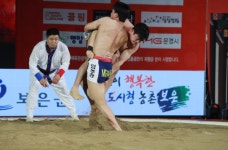 “모래판 위 진짜 장사는 누구?”… '26 보은단오장사씨름대회 8일 닻 올린다