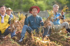 단양마늘 전 면적 수확 마무리… 지역 사회 총력 지원 빛났다