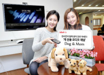 올레tv, 반려견 전용 오디오 채널 도그 앤 맘 공개