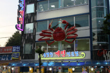 강원도 속초 맛집, 동명항게찜 기가 막히게 푸짐한 대게·킹크랩 인기