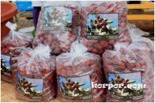 미국 E2비자 사업체(LA농장투자)설명회 개최