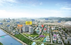 마곡지구 오피스텔 대방디엠시티 2차 동·호수 지정 분양